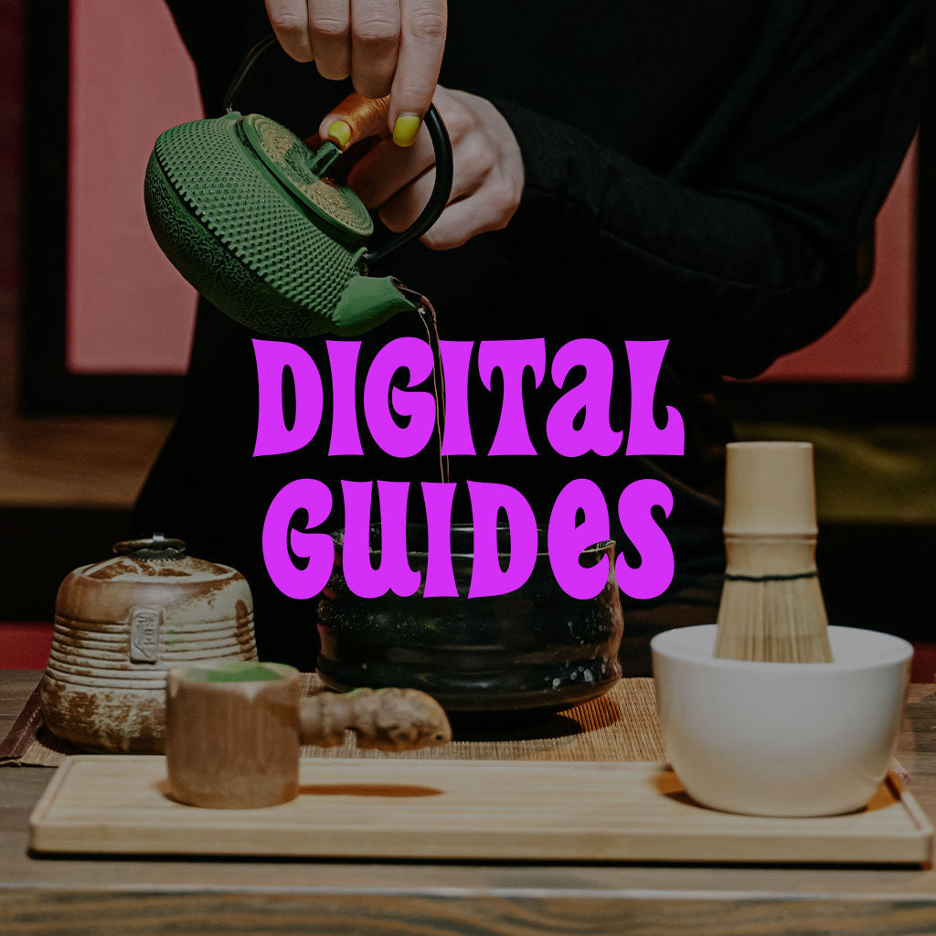 Digital Guides