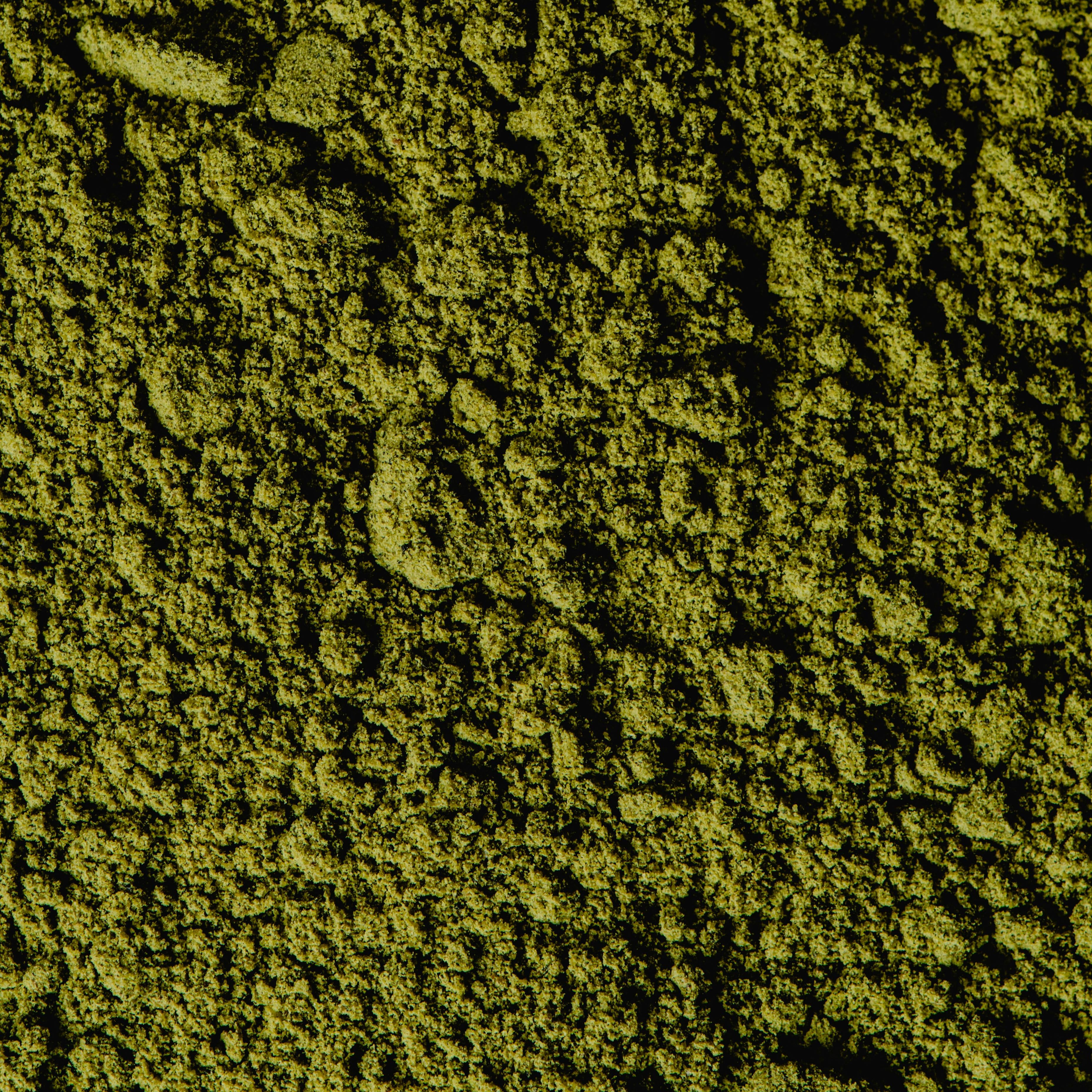 Unmatcha’d Premium Japanese Matcha